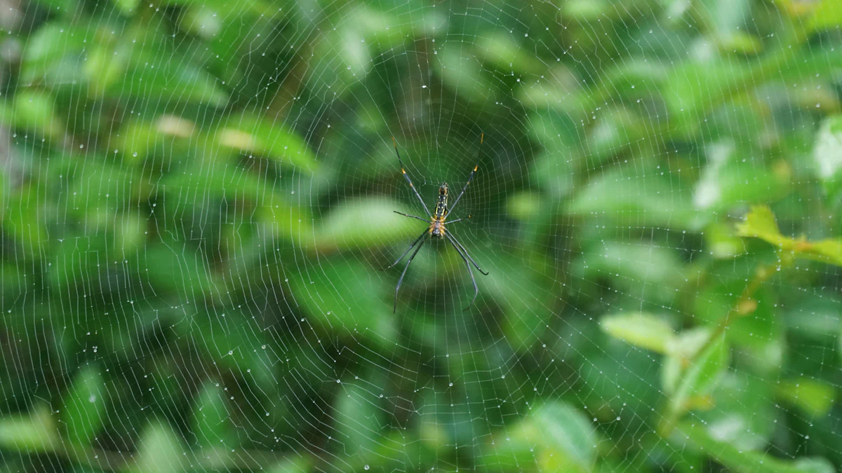 Telaraña fina entre las hojas de una planta