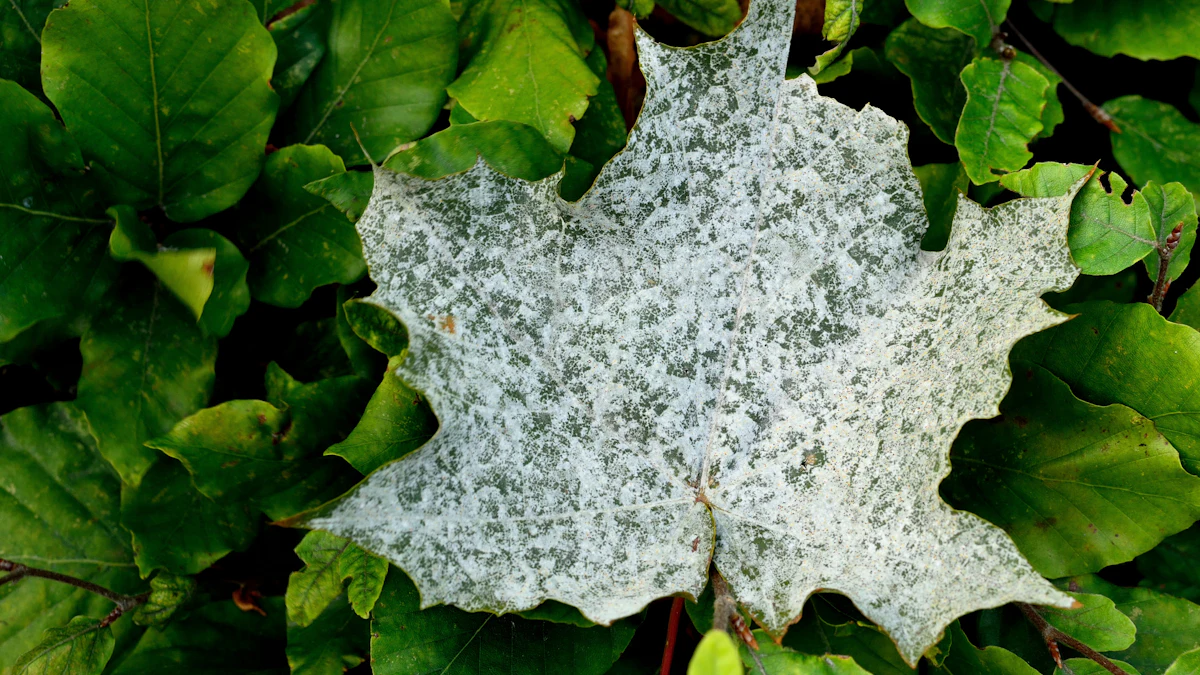 Hoja cubierta de manchas blancas entre hojas verdes