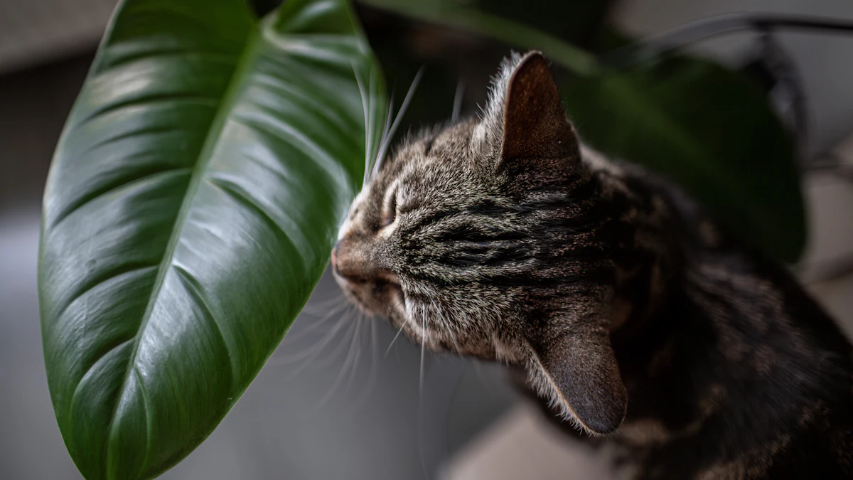 Gato atigrado olfateando una hoja grande
