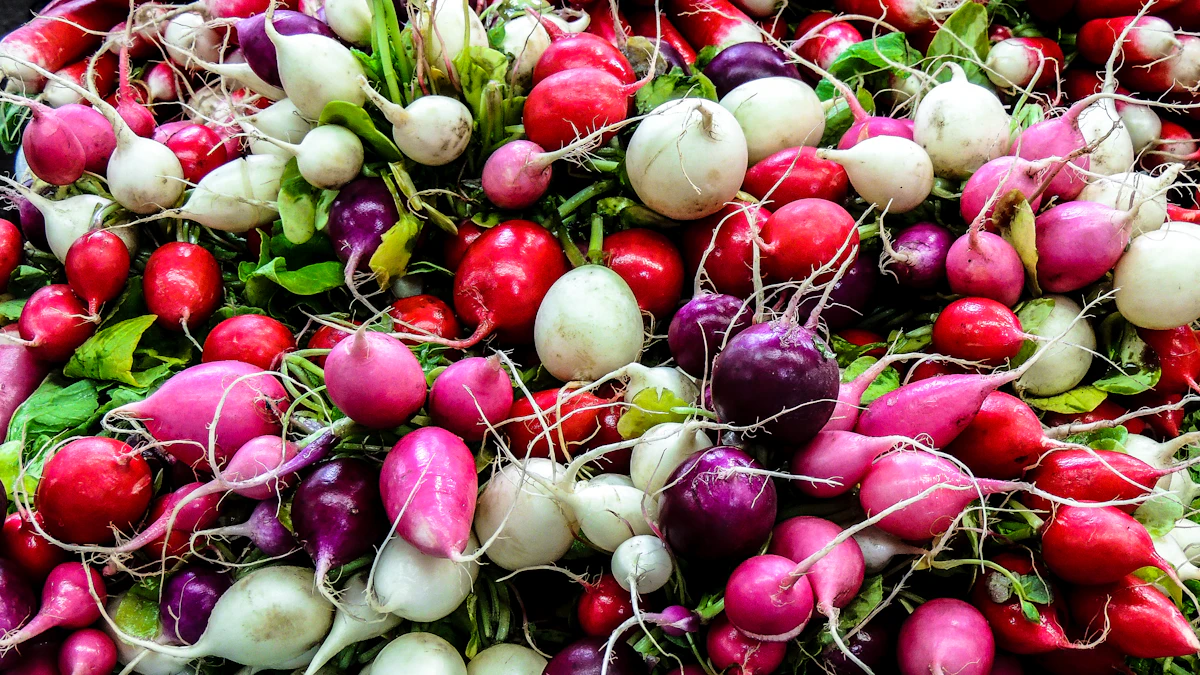 Rábanos de varios colores recién cosechados